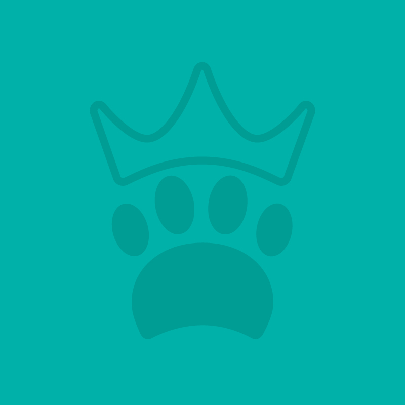 a blue background with a paw print and a crown