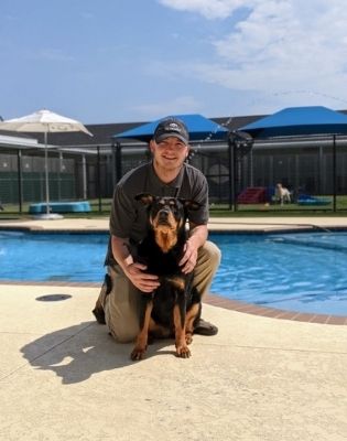 pet paradise vet greenville sc