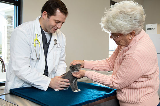 veterinarian newday veterinary care