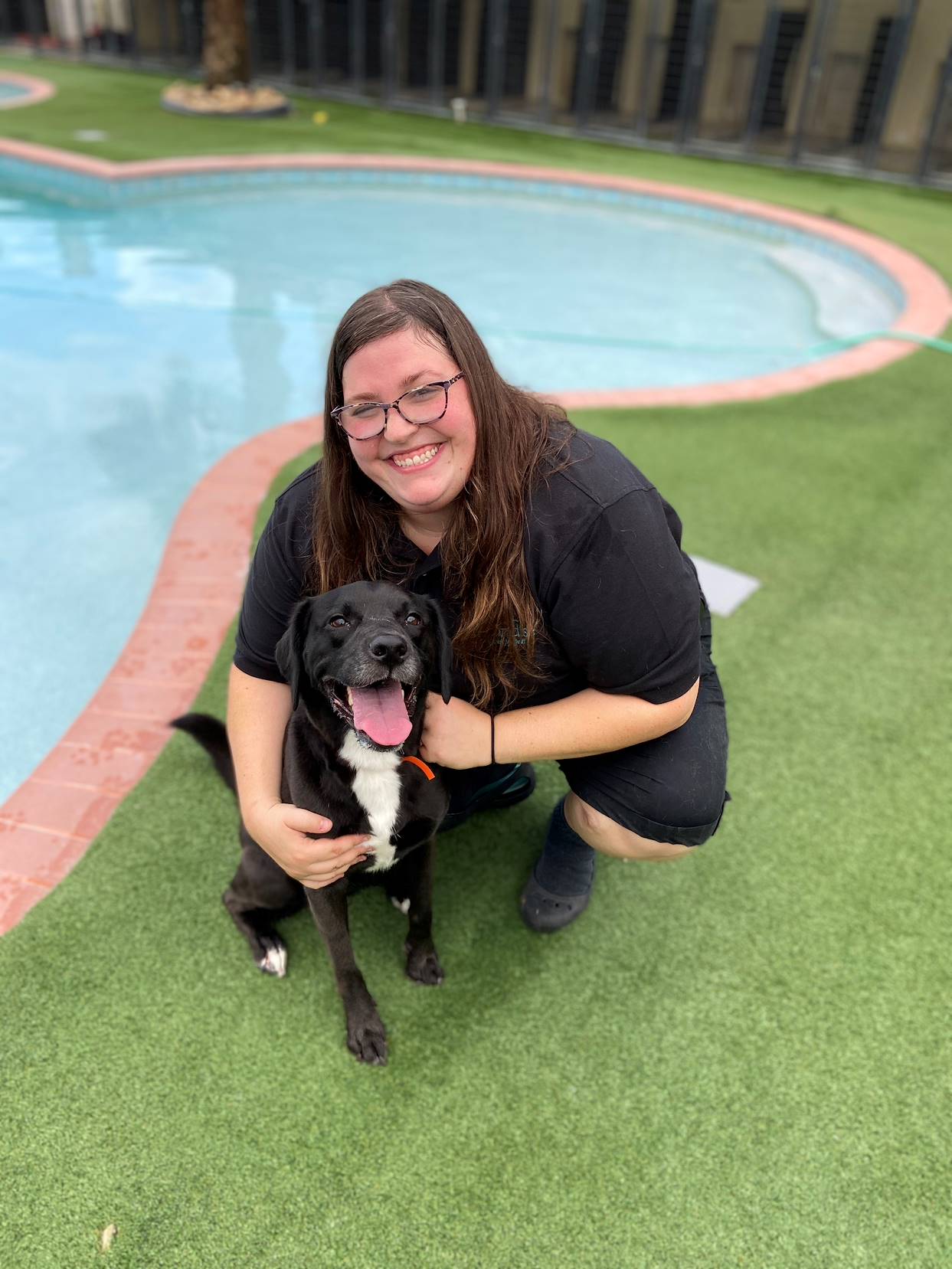 Pet Friendly Gainesville A City That Embraces The Joy Of Animal Companionship