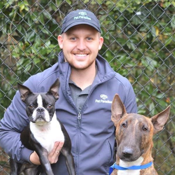 Cary Pet Boarding Pet Paradise