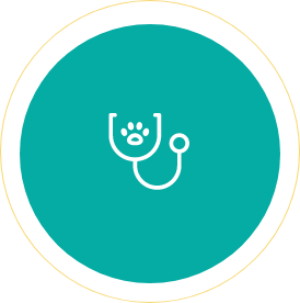 nearest veterinarians open weekends