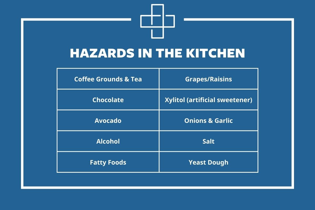 Hazards to Pets In the Kitchen