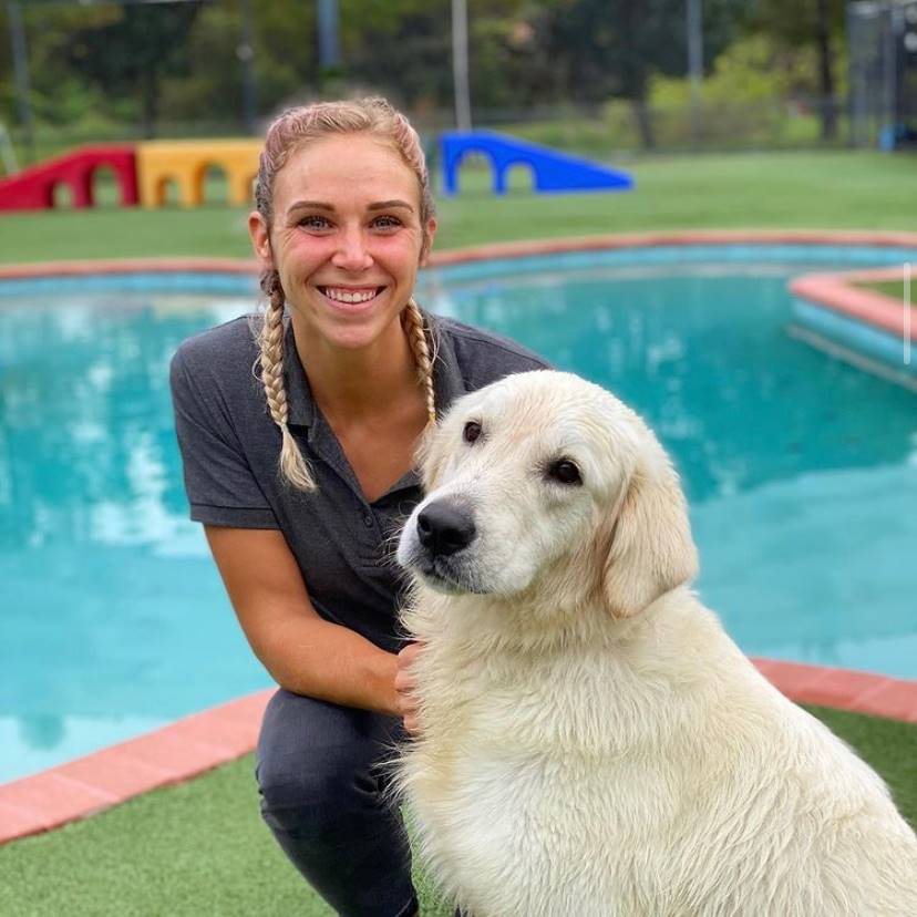 St Augustine Pet Boarding Pet Paradise