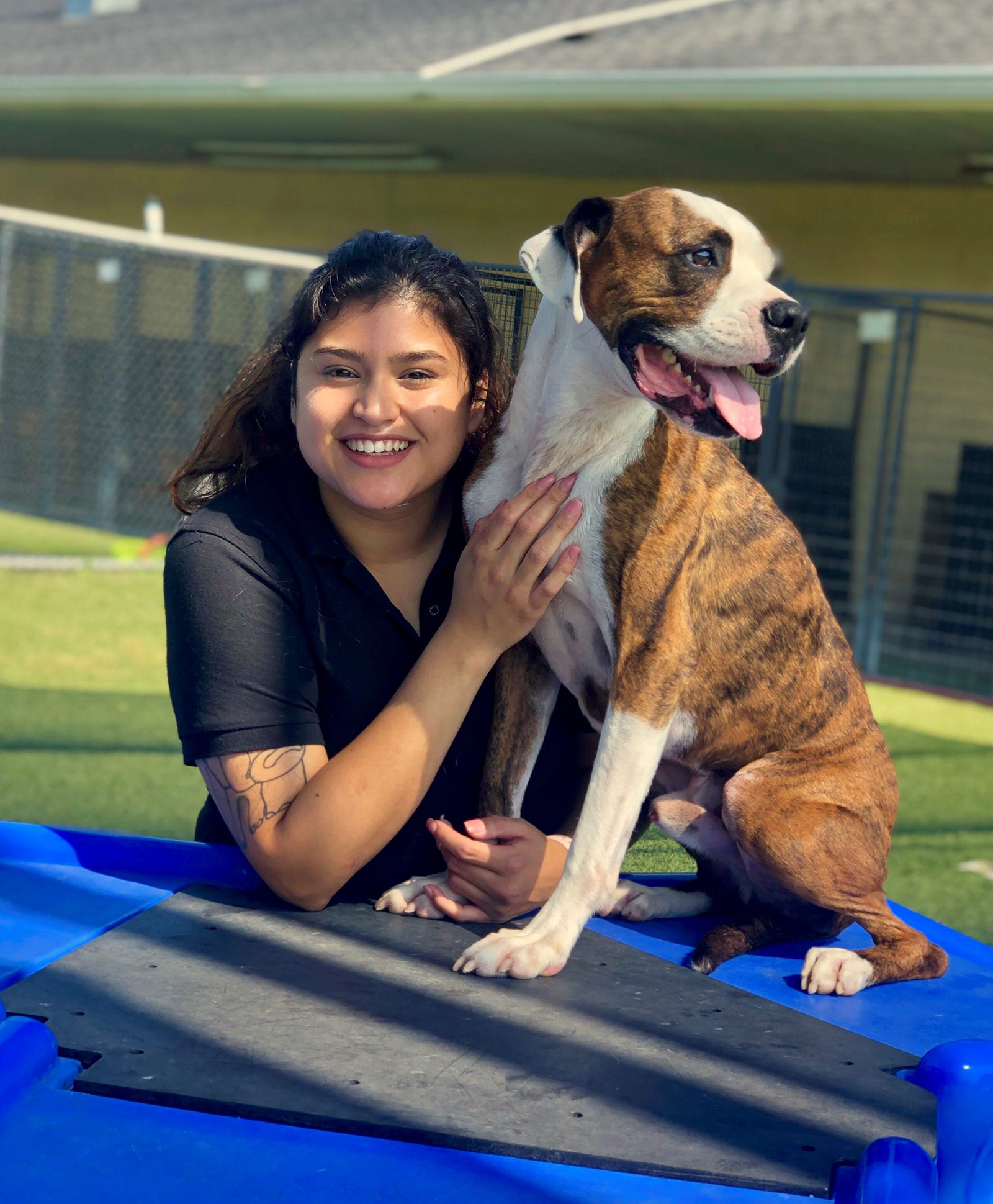 Houston Hobby Pet Boarding | Pet Paradise