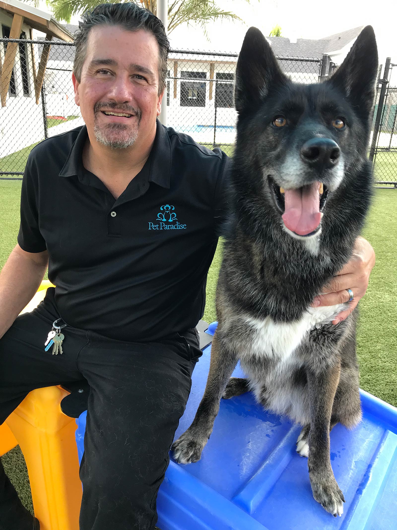 pet paradise bartram