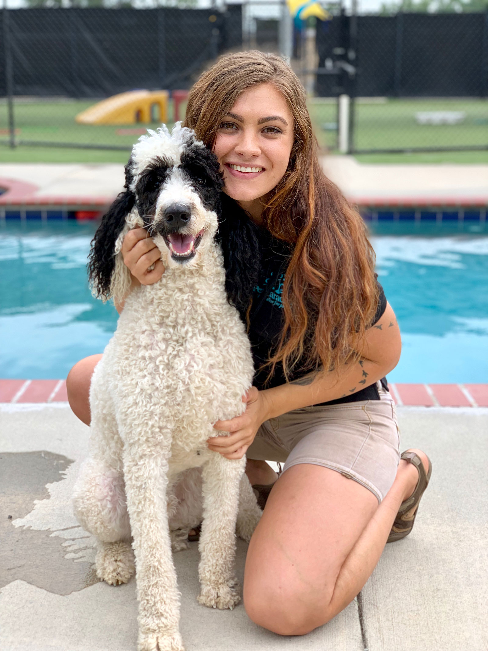 Pet Paradise Charlotte Nc - gvsag0r