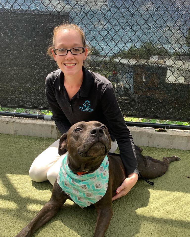 Ormond Beach Pet Boarding Pet Paradise