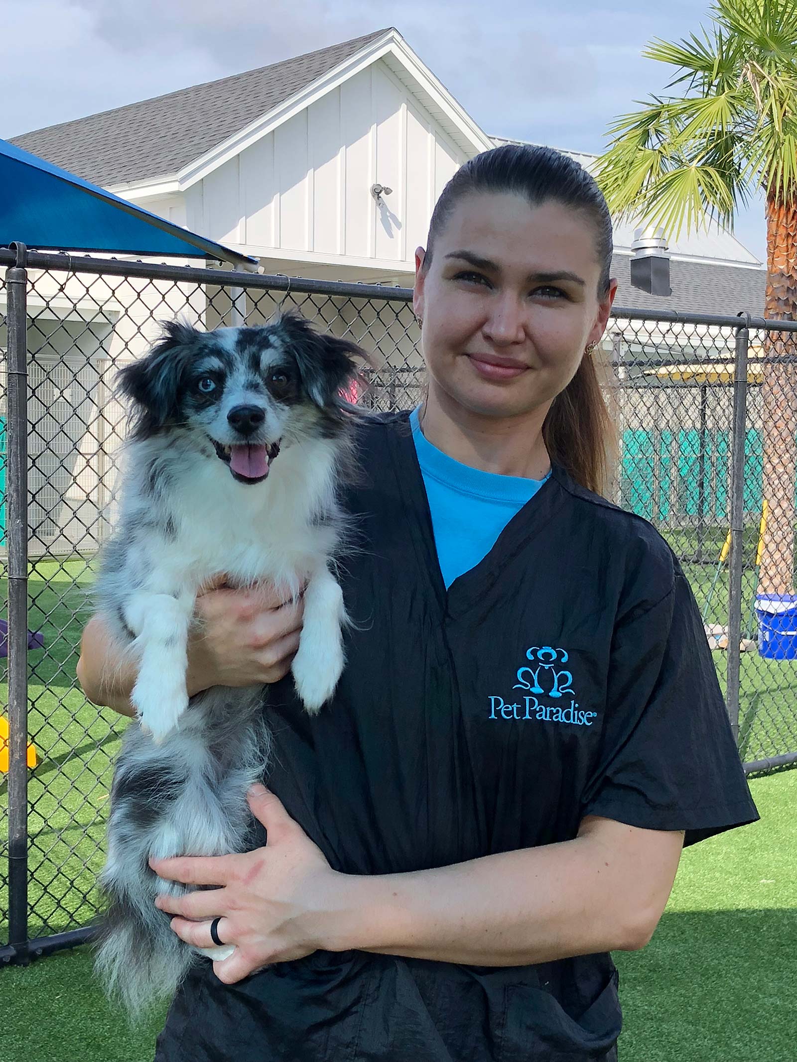 Winter Garden Pet Boarding And Day Camp