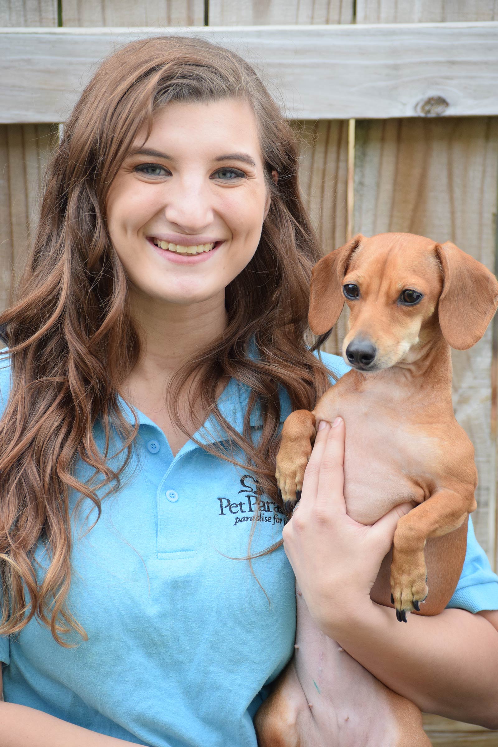 woodstock dog daycare