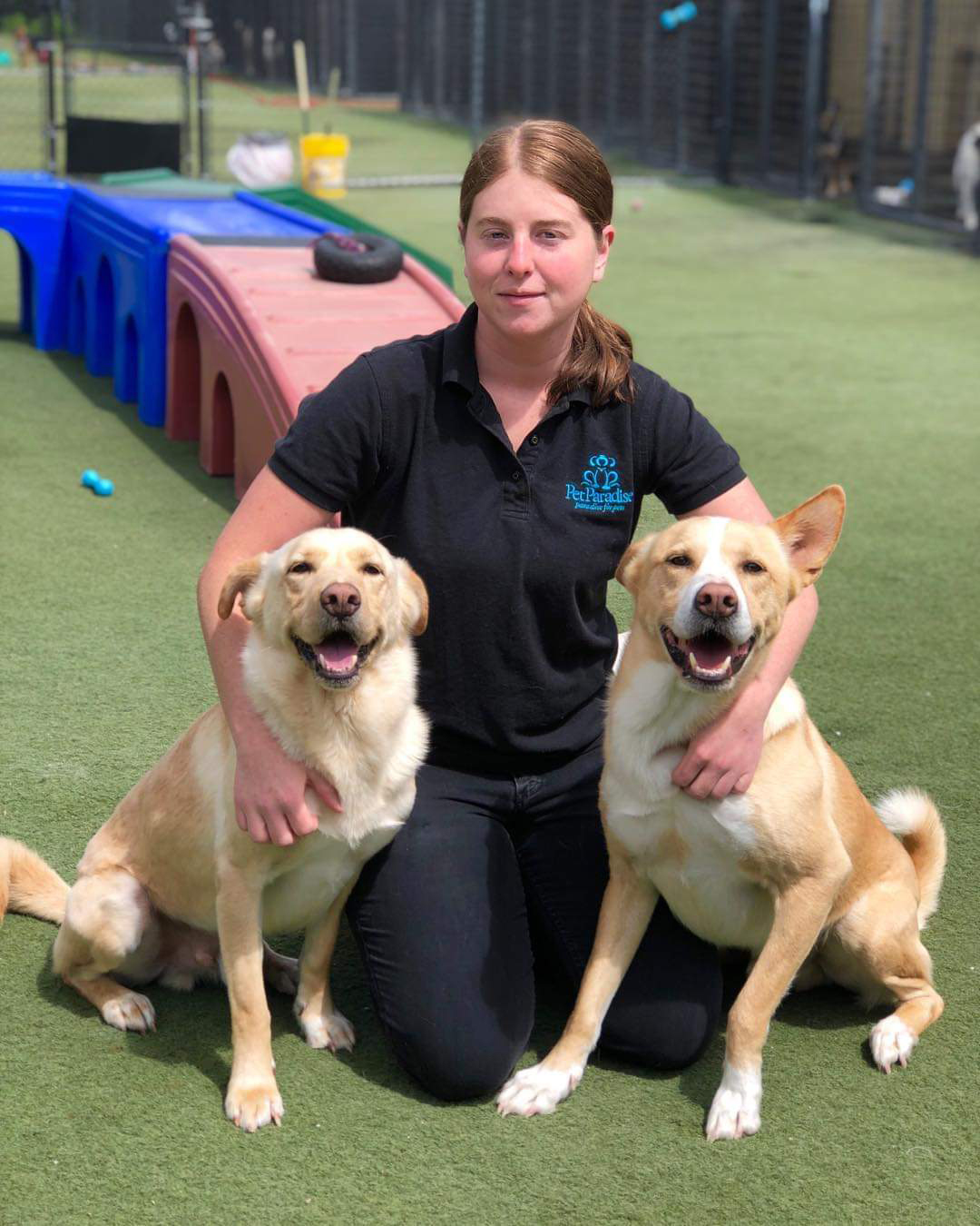 Houston IAH South Pet Boarding Pet Paradise