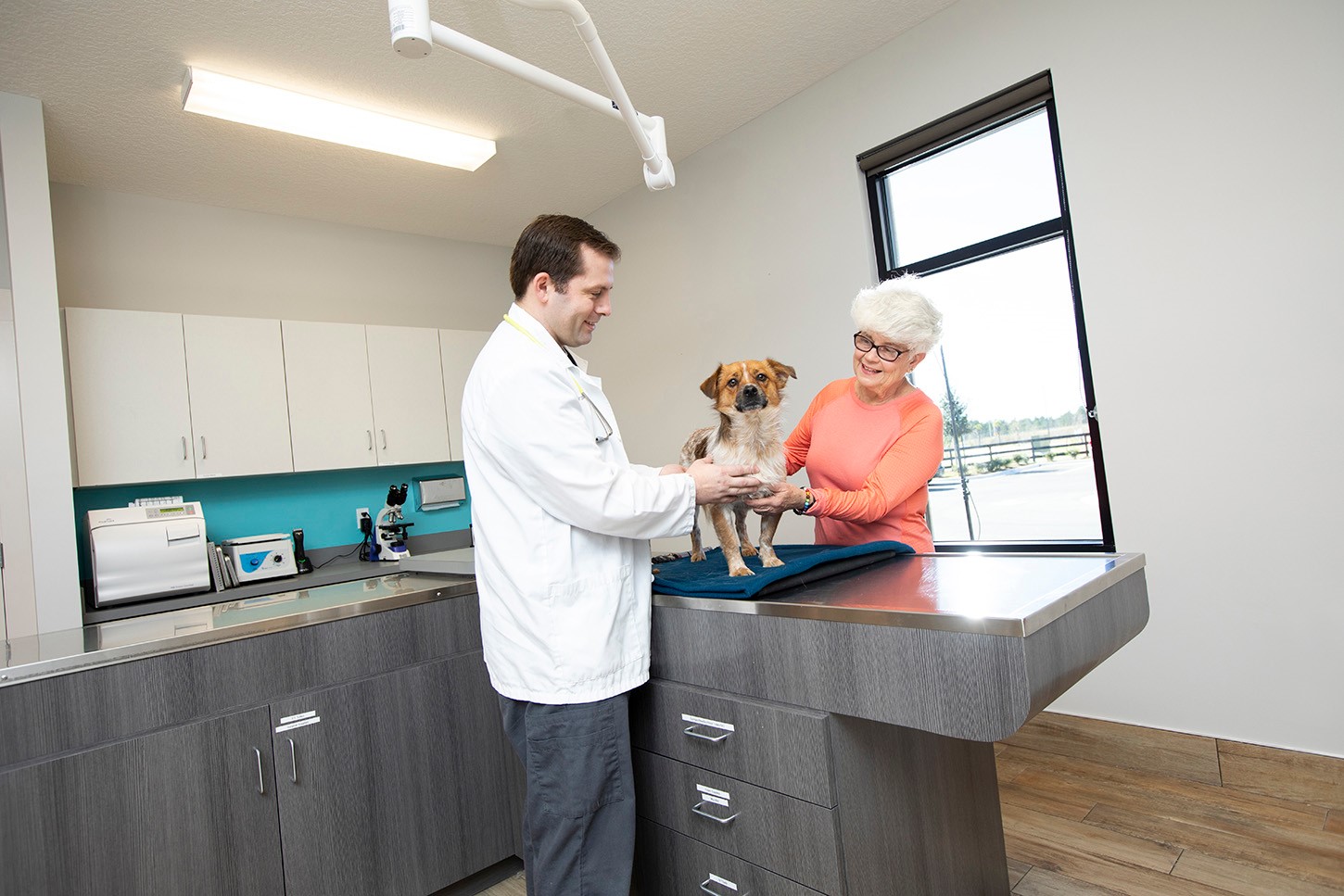 Pet Boarding Pet Paradise