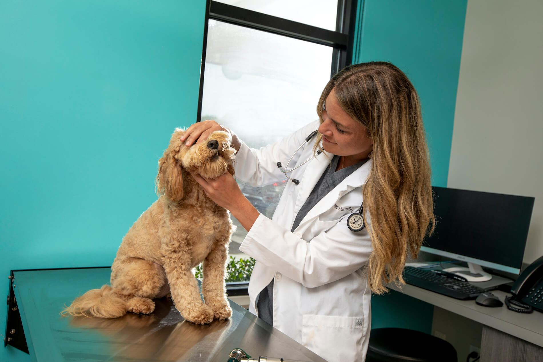 Veterinarian