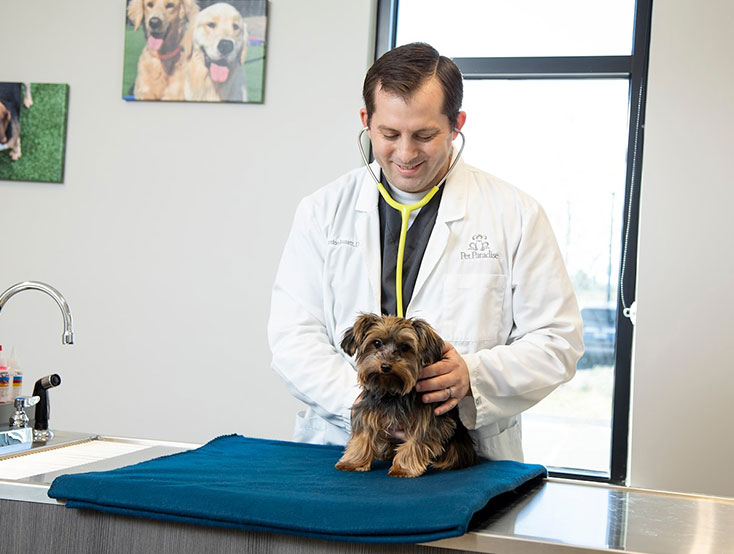 Winter Garden Pet Boarding and Day Camp Pet Paradise